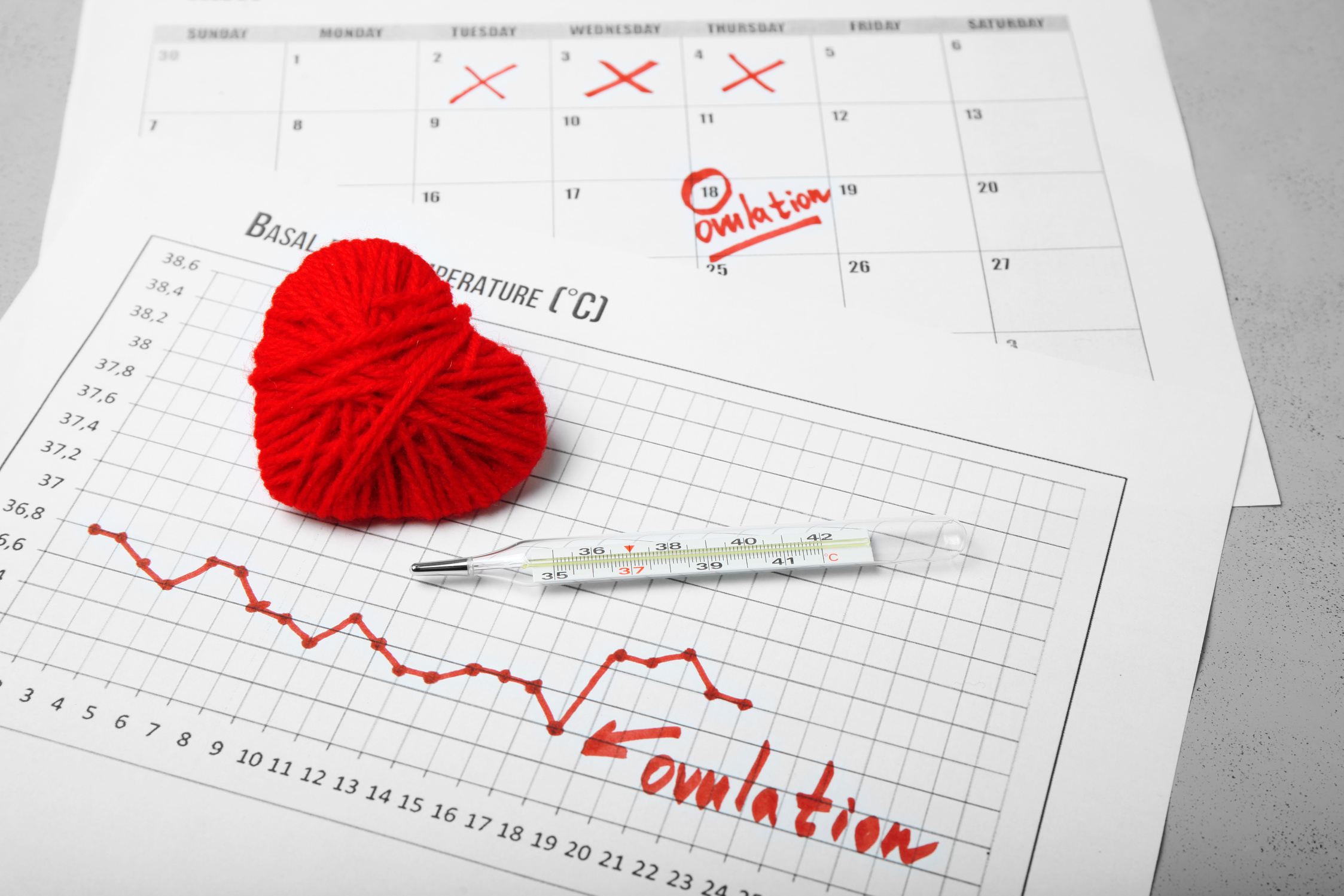 Auspicious and fertile day for conceiving child. Family planning. Ovulation cycle